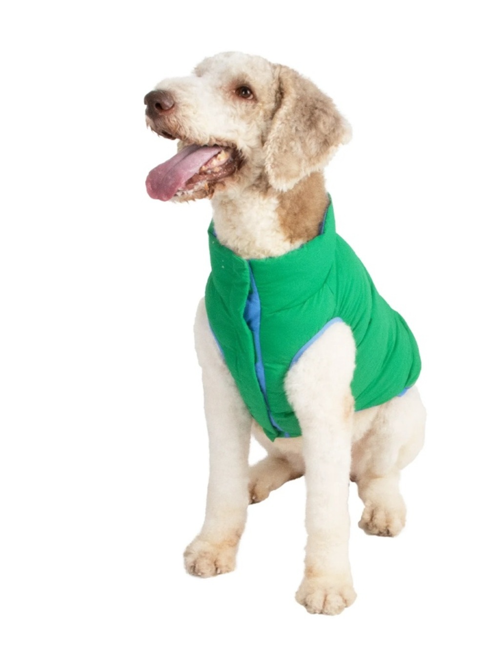 New- medium Puffer 
Green /Blue Reversible Dog 
Coat - Vest